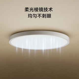 国家补贴：小米 米家吸顶灯阳台D20