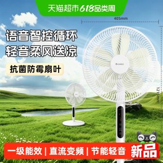 格力 电风扇一级能效家用直流变频节能大风遥控落地扇卧室轻音风扇