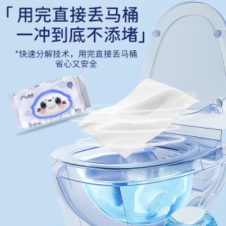 柔邦 湿厕纸 80片*1包