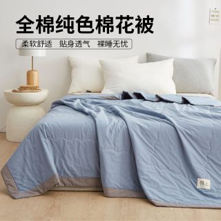 洁丽雅 JL06AAL 新疆棉花被 全棉夏凉被 110*150cm 雾霾蓝