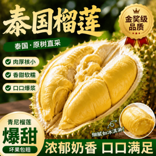 蒲恋 泰国金枕榴莲 2-3斤 新鲜巴掌榴莲带壳鲜果