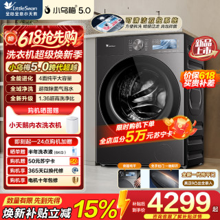 小天鹅 TD10K60