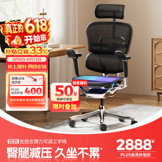 Ergonor 人体工学椅  黑色网