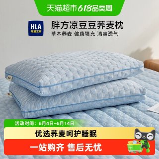海澜之家 荞麦壳枕头 55*35cm 蓝色 单人装