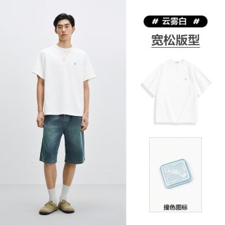 太平鸟 男士短袖T恤 BACNF230D