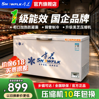 雪花 冰柜商用大容量冰柜冷冻柜展示柜 327升1.20米丨七档机控丨铜管省电40%