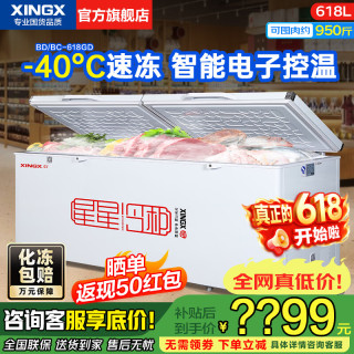 星星 冰柜商用400升/500升大容量全冷冻家用大冷柜卧式单温冰箱雪糕柜冷冻冷藏两用岛柜