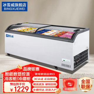 冰雪威冰柜商用展示柜冷藏柜冷冻展示柜 冰淇淋雪糕柜玻璃门弧形柜超市曲面柜岛柜 1.2米弧形柜白色
