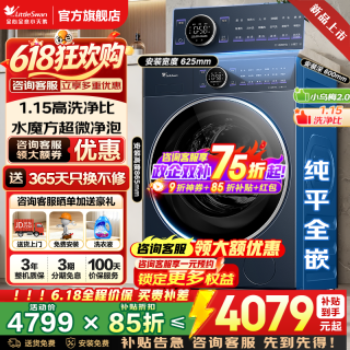 小天鹅 小乌梅  1.1高洗净比 水魔方超微净泡洗 TG10VE60