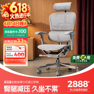 Ergonor 保友金豪E2 Pro人体工学椅 办公椅电脑椅 银白网