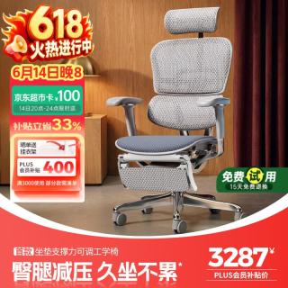 Ergonor 保友金豪E2 Pro人体工学椅 办公椅电脑椅银白云感座垫+躺舒宝 银白(云感科技座垫)+躺舒宝