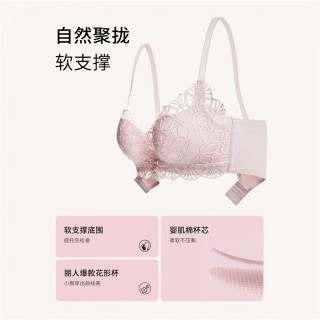 都市丽人 内衣 中国风文胸套装女