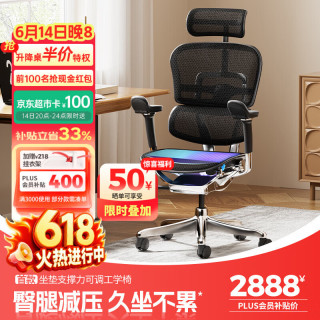 Ergonor 人体工学椅  黑色网