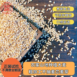 精选大麦仁 天然健康粗粮早餐营养粥