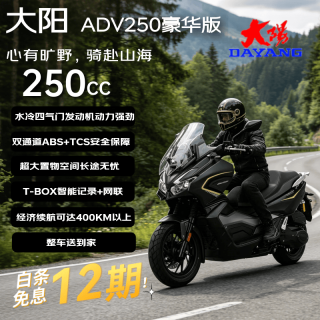 大阳电动车 ADV250豪华版 燃油踏板摩托车 哑闪黑哑浅灰