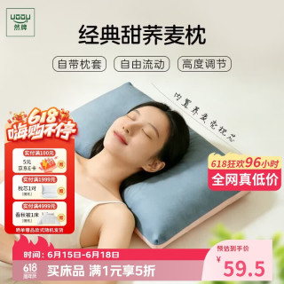 然牌 荞麦枕头 100%全荞麦壳枕头颈椎枕纯棉枕套 蓝粉单只装35x55cm