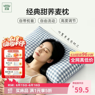 然牌 荞麦枕头 100%全荞麦壳枕头颈椎枕纯棉枕套 蓝格单只装35x55cm