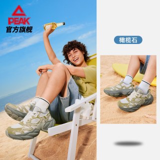 匹克 态极海螺 男款运动鞋 DE2630141