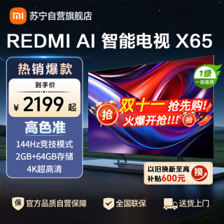 小米 电视REDMI AI智能电视 X65-L65RB-XT