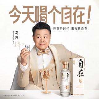 舍得 酒自在29度500ml*1瓶低度酒浓香型白酒节日送礼白酒