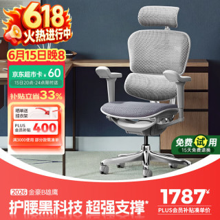 Ergonor 保友Ergonor 电脑椅 联友人体工学椅 基尼迪亚办公网椅黑色