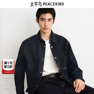 太平鸟 男士休闲衬衫 10165901332450