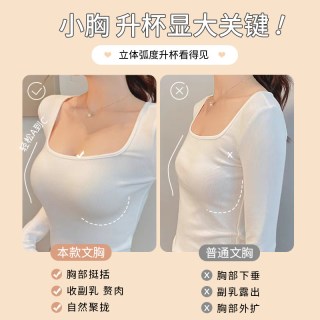夏娃秘语 夏季平胸聚拢侧收文胸女聚拢型胸罩