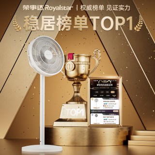荣事达 电风扇落地扇家用静音立式台式电扇强力摇头扇强力宿舍小型