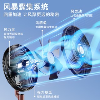 钻石牌 电风扇纯铜电机落地扇直流变频家用超薄语音一级能效循环扇