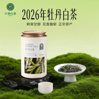 六妙 白茶2026年一级白牡丹新茶福鼎白茶口粮茶叶罐装50g