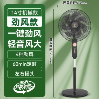 钻石牌 落地电风扇家用静音一级能效风扇卧室客厅摇头直流落地扇