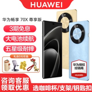 华为 畅享 70X 尊享版 手机 巨鲸长续航 麒麟8000芯片