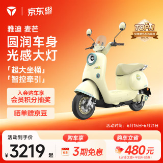 雅迪 麦芒电动轻便摩托车 60V长续航智能电动车
