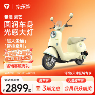 雅迪 麦芒电动轻便摩托车