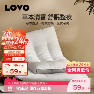 LOVO 防螨决明子草本对枕 45cm*70cm 高约8cm