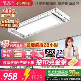 好太太 曲屏超薄电动晾衣架隐形阳台离线语音智能升降晾衣机H21-ZL