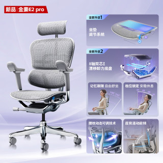 PLUS会员：Ergonor 人体工学椅  银白美国网
