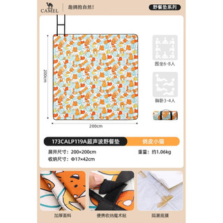 骆驼 户外野餐垫 防潮 春游露营沙滩垫 173CALP119A
