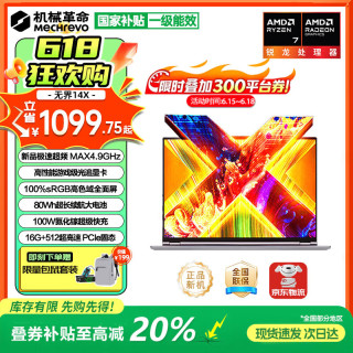 机械革命 锐龙R7H独显级游戏全能本 笔记本电脑 锐龙R7 H255 16G 512G 高色域