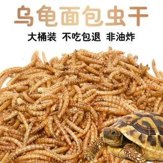 冠之亚 乌龟零食面包虫干黄粉虫巴西龟龟粮鹦鹉仓鼠鱼饲料高营养用品零食