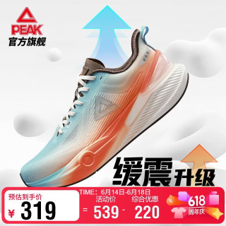 匹克 态极7.0pro 男款跑步鞋 ET52627H
