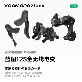 VOOK ONE 2.1电变公路自行车 单盘12速碳纤维前叉碟刹轻量单车 ONE2.1（电变版） L
