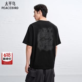 太平鸟 青年时尚体恤 A7FAD244689