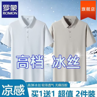 罗蒙 两件装冰丝短袖t恤夏季薄款2026新品速干半袖上衣定制父亲节礼物 白色+