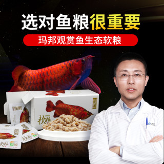 玛豆 软粮红龙鱼金龙鱼观赏鱼饲料颗粒鱼粮玛邦高蛋白营养生态鱼食