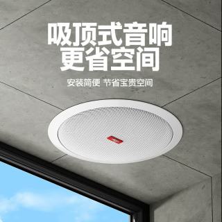 爱国者 X131 高音质 吸顶喇叭