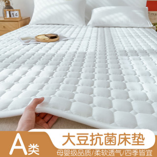可折叠床垫 软垫 家用 防滑垫 单人 夏季薄款