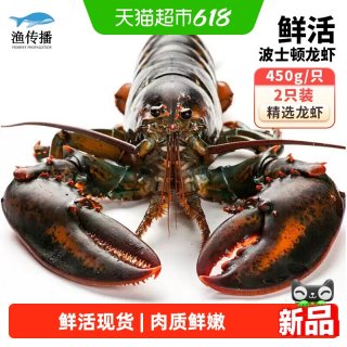 移动端：渔传播 鲜活 波士顿龙虾