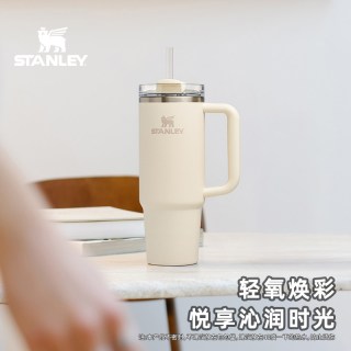 斯坦利 10-11913 吸管杯 591ml 灰紫