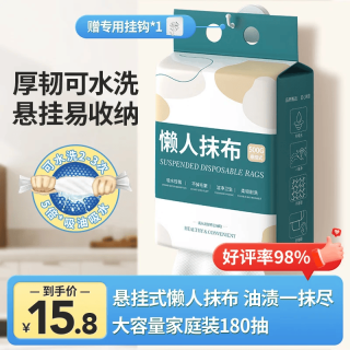 LYNN 悬挂式懒人抹布 500g
